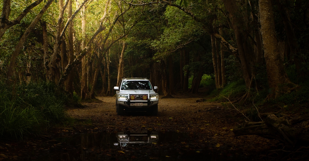 Mossman Gorge captured during a private guided Daintree Rainforest tour
