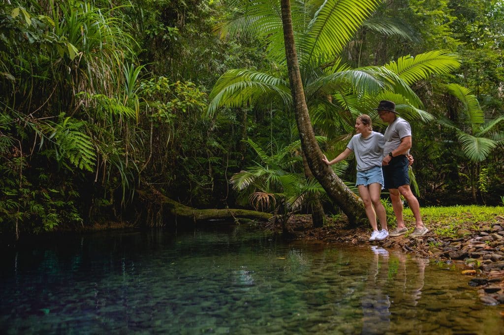 Explore the Daintree on a private tour
