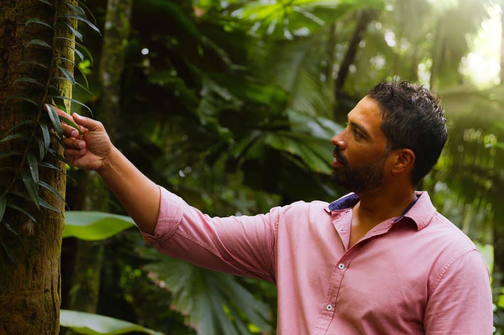 Daintree Private Tours