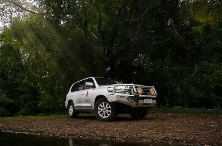 Private Luxury Tours in Cairns & Far North Queensland | Cairns Luxury Guides